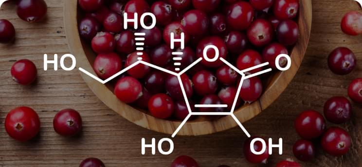 Extracto de frutos de arándano